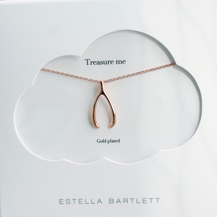 Estella Bartlett Lucky Wishbone Necklace Buy Online UK