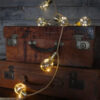 Lightstyle Indoor Festoon Lights - Purchase Online UK