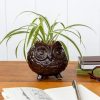 Cute Ceramic Owl Plant Pot - From Source Lifestyle