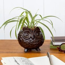 Cute Ceramic Owl Plant Pot - From Source Lifestyle